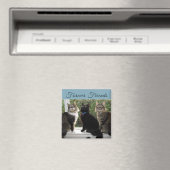 Drei Cat-Freunde im Fenster-Magnet Magnet (In Situ (Geschirrspüler))