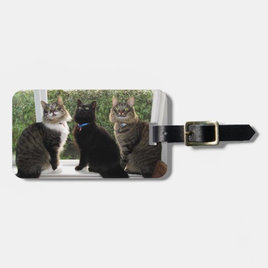 Drei Cat Friends Gepäckmarke Gepäckanhänger (Vorderseite horizontal)