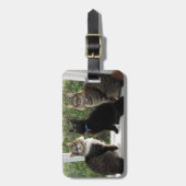 Drei Cat Friends Gepäckmarke Gepäckanhänger (Vorderseite vertikal)