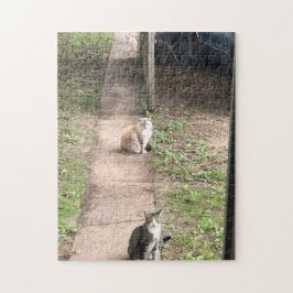 Drei Cats Jigsaw Puzzle