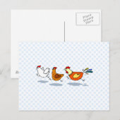 Drei Chicks Postkarte (Vorne/Hinten)
