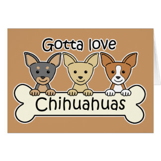 Drei Chihuahua