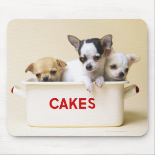 Drei Chihuahuawelpen im Kuchenzinn Mousepad