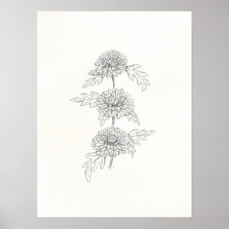 Drei Chrysanthemas drucken Poster