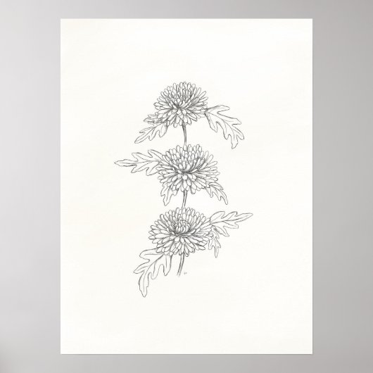 Drei Chrysanthemas drucken Poster (Vorne)