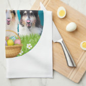Drei Collie Bunny Geschirrtuch (Viertel Falte)