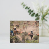 Drei Cowboys und Cowgirls, die Rinder fahren Postkarte (Stehend Vorderseite)