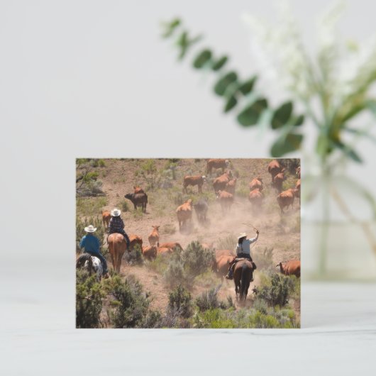 Drei Cowboys und Cowgirls, die Rinder fahren Postkarte (Stehend Vorderseite)