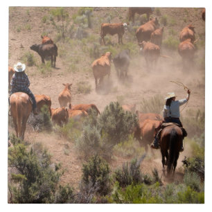 Drei Cowboys und Cowgirls, die Vieh fahren Fliese