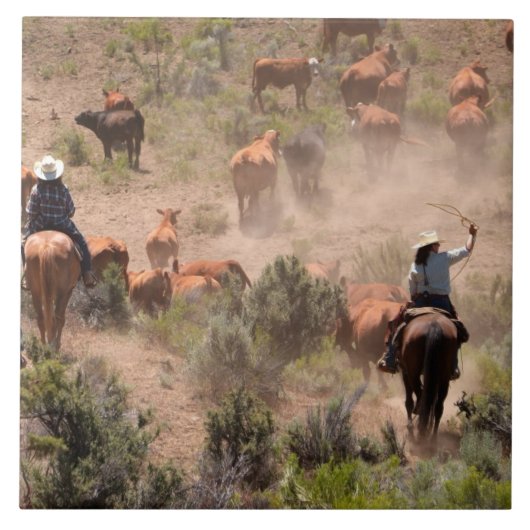 Drei Cowboys und Cowgirls, die Vieh fahren Fliese (Vorderseite)