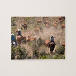 Drei Cowboys und Cowgirls treiben Rinder Puzzle