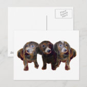 Drei Dackeln Hunde Postkarte (Vorne/Hinten)