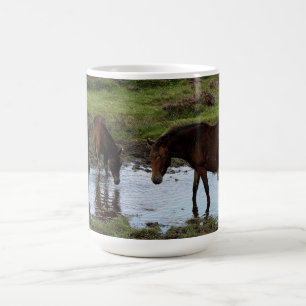 Drei Dartmoor Ponys, die am Bewässerungs-Loch Kaffeetasse