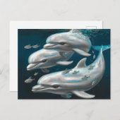 Drei Delphine Postkarte (Vorne/Hinten)