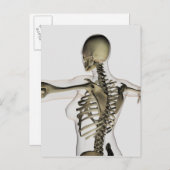 Drei dimensionale Sicht auf die weibliche obere Rü Postkarte (Vorne/Hinten)