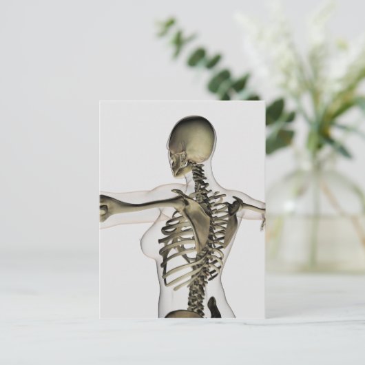 Drei dimensionale Sicht auf die weibliche obere Rü Postkarte (Stehend Vorderseite)