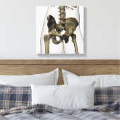 Drei Dimensionen der menschlichen Beckenknochen Leinwanddruck (Insitu (Schlafzimmer))