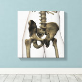 Drei Dimensionen der menschlichen Beckenknochen Leinwanddruck (Insitu (Holzboden))