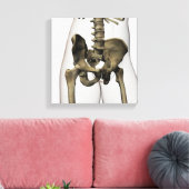 Drei Dimensionen der menschlichen Beckenknochen Leinwanddruck (Insitu (Wohnzimmer))