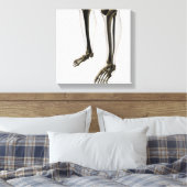 Drei Dimensionen der menschlichen Leg und Füße Leinwanddruck (Insitu (Schlafzimmer))