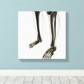Drei Dimensionen der menschlichen Leg und Füße Leinwanddruck (Insitu (Holzboden))