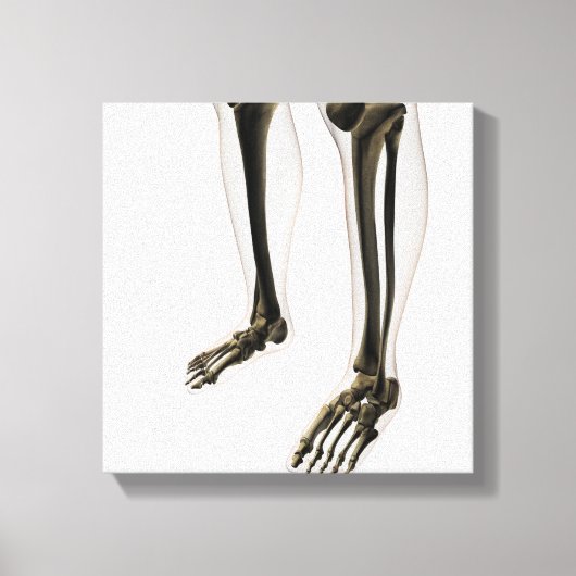 Drei Dimensionen der menschlichen Leg und Füße Leinwanddruck (Vorderseite)
