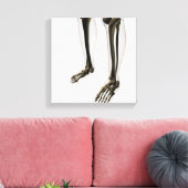 Drei Dimensionen der menschlichen Leg und Füße Leinwanddruck (Insitu (Wohnzimmer))