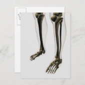 Drei Dimensionen der menschlichen Leg und Füße Postkarte (Vorne/Hinten)