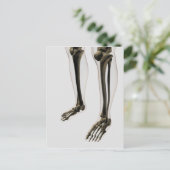Drei Dimensionen der menschlichen Leg und Füße Postkarte (Stehend Vorderseite)