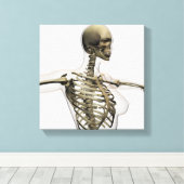 Drei Dimensionen des Käfigs von weiblichen Rippen Leinwanddruck (Insitu (Holzboden))