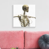 Drei Dimensionen des Käfigs von weiblichen Rippen Leinwanddruck (Insitu (Wohnzimmer))