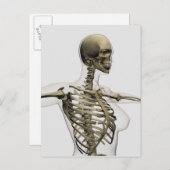 Drei Dimensionen des Käfigs von weiblichen Rippen Postkarte (Vorne/Hinten)