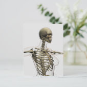 Drei Dimensionen des Käfigs von weiblichen Rippen Postkarte (Stehend Vorderseite)