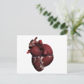 Drei Dimensionen des menschlichen Herzens, hinten Postkarte (Stehend Vorderseite)