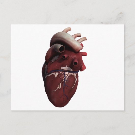 Drei Dimensionen des menschlichen Herzens, richtig Postkarte (Vorderseite)