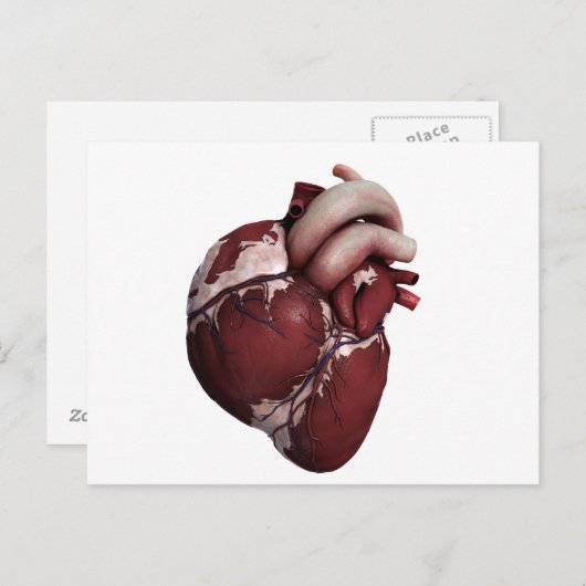 Drei Dimensionen des menschlichen Herzens, Vorders Postkarte (Vorne/Hinten)