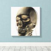 Drei Dimensionen des menschlichen Schädels und der Leinwanddruck (Insitu (Holzboden))