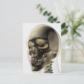 Drei Dimensionen des menschlichen Schädels und der Postkarte (Stehend Vorderseite)