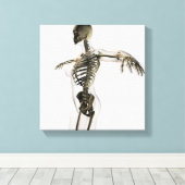 Drei Dimensionen des weiblichen Skelettsystems Leinwanddruck (Insitu (Holzboden))
