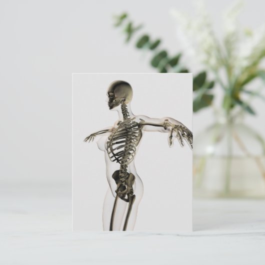 Drei Dimensionen des weiblichen Skelettsystems Postkarte (Stehend Vorderseite)