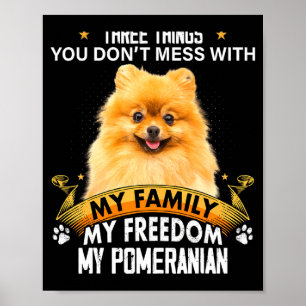 Drei Dinge, mit denen man sich nicht anlegt Merani Poster