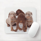 Drei Doberman-Pinscher-Welpen Mousepad (Mit Mouse)