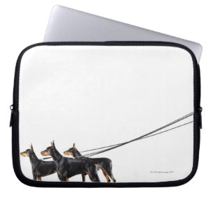Drei Dobermann auf Leine Laptopschutzhülle