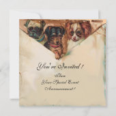 DREI DOGIEN MIT ROSE EINLADUNG (Rückseite)