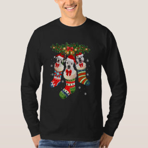 Drei Dogo Argentino in Socken Weihnachten Santa X  T-Shirt
