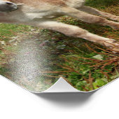 Drei Donkey Fotodruck (Ecke)