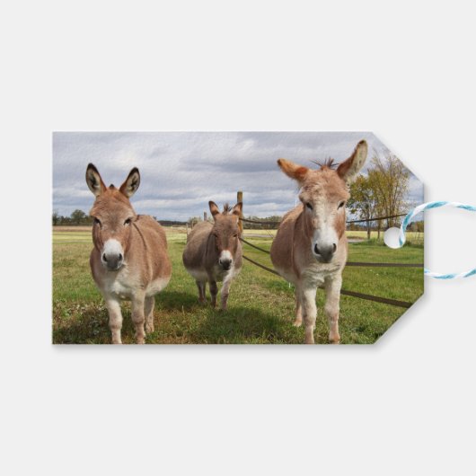 Drei Donkey Geschenkanhänger (Vorderseite (Horizontal))