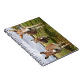 Drei Donkey Notizblock (Rechte Seite)