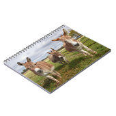 Drei Donkey Notizblock (Linke Seite)