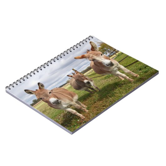 Drei Donkey Notizblock (Linke Seite)